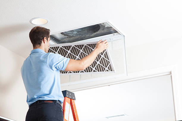 Best HVAC Tune-Up Services  in Palm River Clair Mel, FL